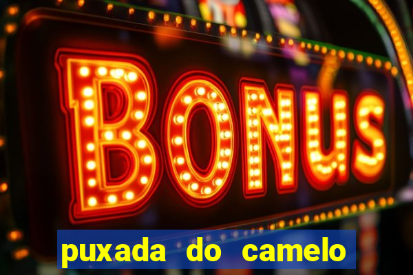 puxada do camelo no jogo do bicho